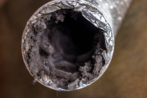 Best Affordable Duct Cleaning Services  in Lake Wildwood, CA