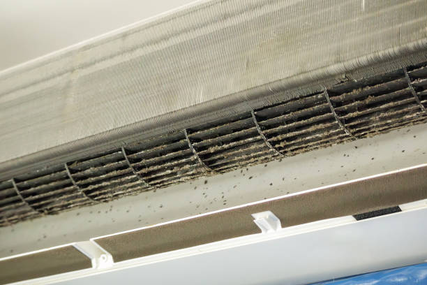 Best Air Duct Mold Removal  in Lake Wildwood, CA